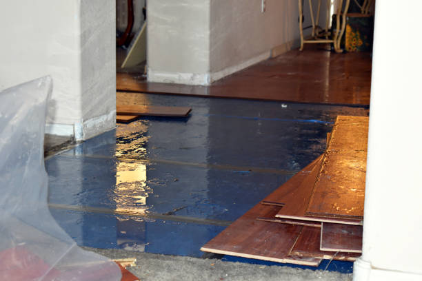 Professional Sewage Cleanup technician working in Cerrillos, NM